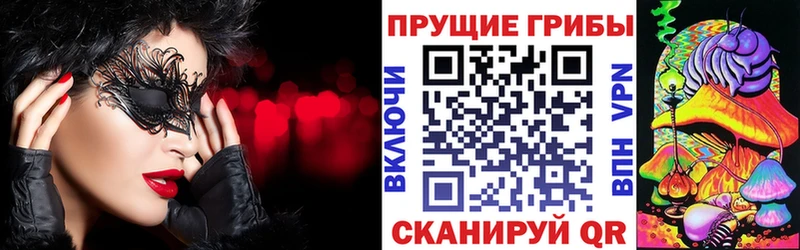 hydra Демидов Псилоцибиновые грибы Psilocybine cubensis